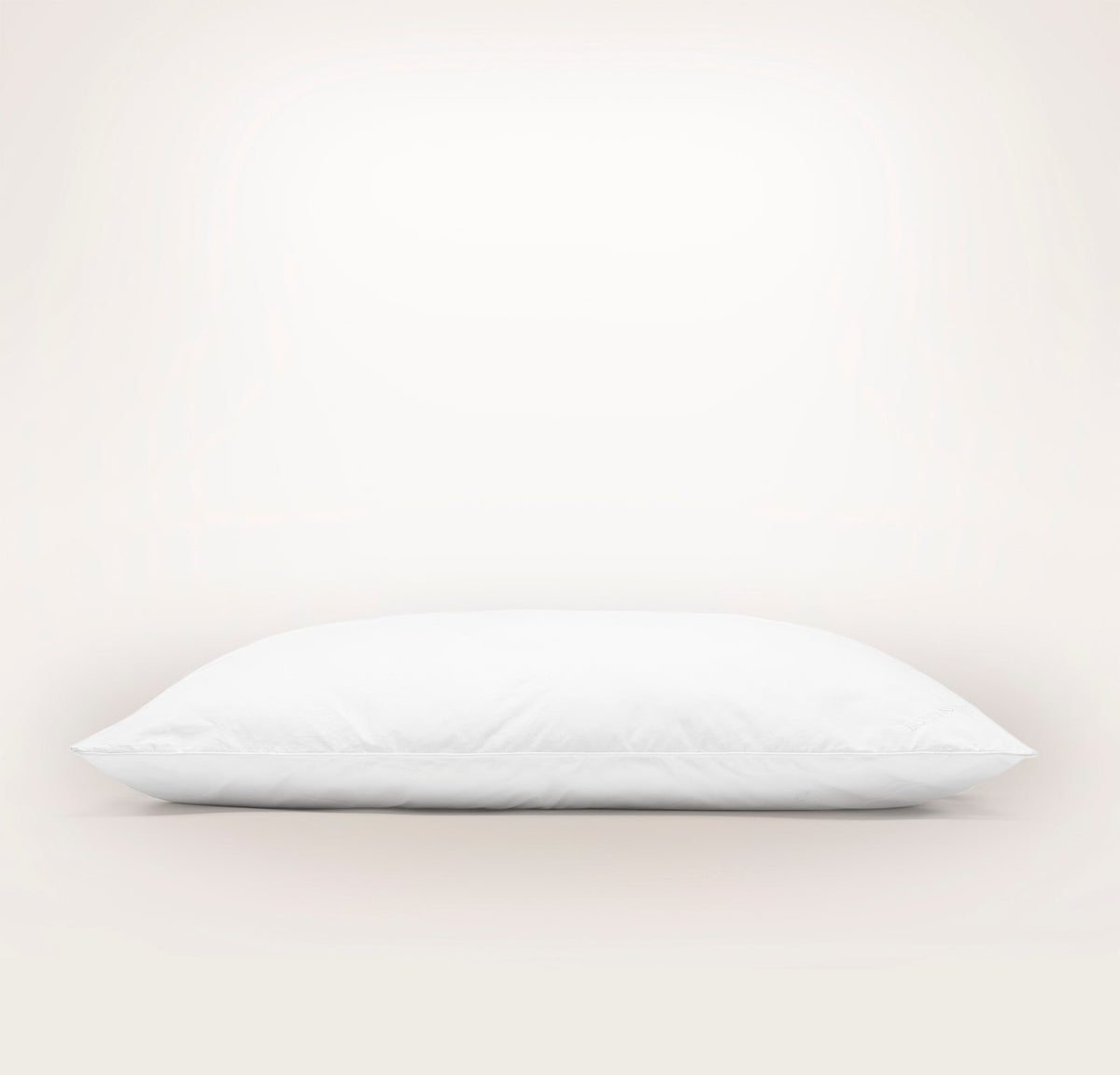 Pillow Insert
